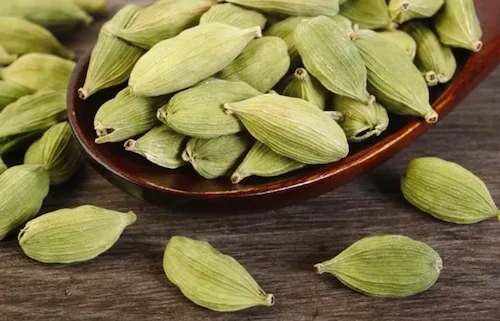 Kardamom