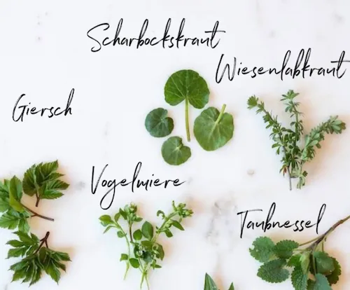 Die Neun Kräuter Suppe