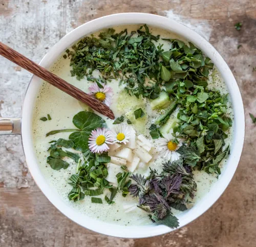 Die Neun Kräuter Suppe