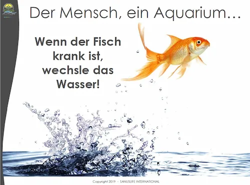 Wasser