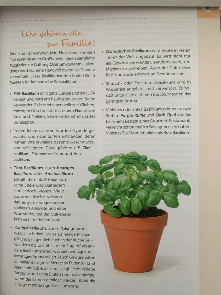 Basilikum